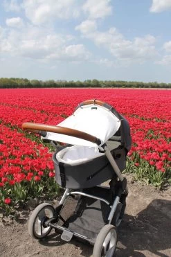 Dooky Universal Cover Zonnescherm Kinderwagen - Crème -Kinderwagens Winkel 800x1200 50