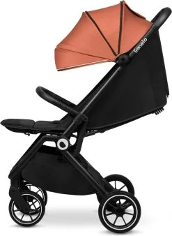 Lionelo Buggy Cloe - Kinderwagen Premium + - Tot 22 Kg - Verstelbare Rugleuning - 5-punts Veiligheidsgordels - Grote Zwenkwielen - Klamboe - Bekerhouder - Lichtgewicht - Compact - Waterdicht -Kinderwagens Winkel 877x1200